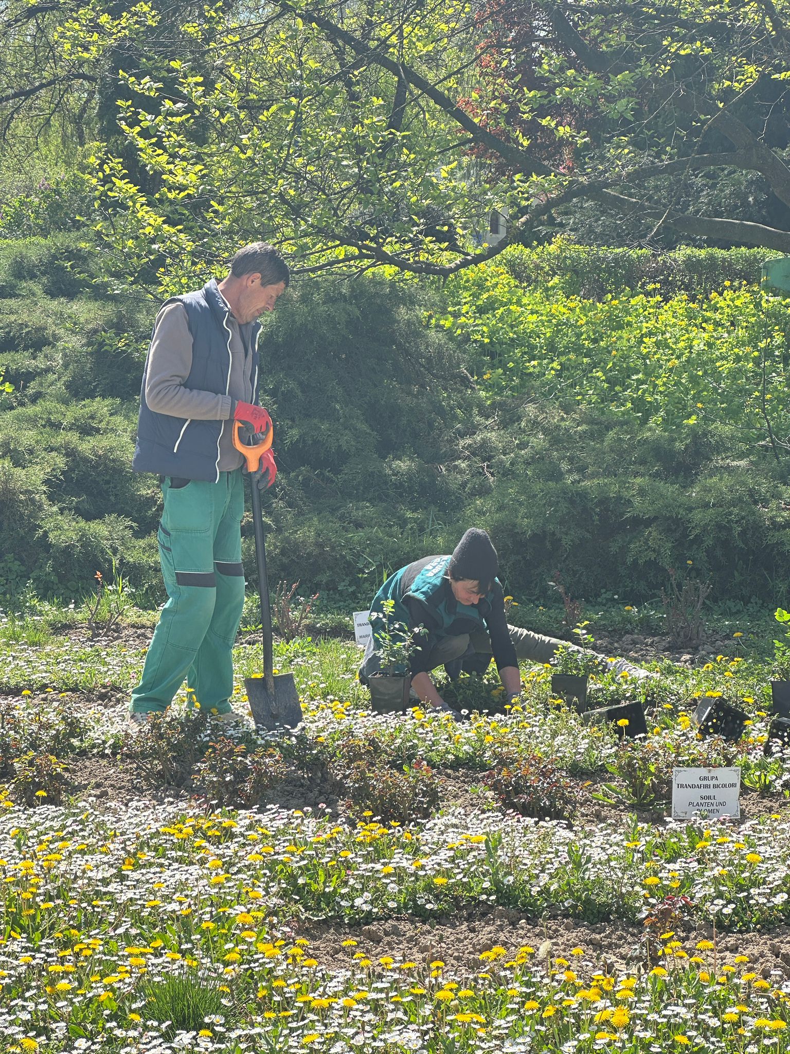 WhatsApp Image 2026-04-08 at 13.05.45 (3)