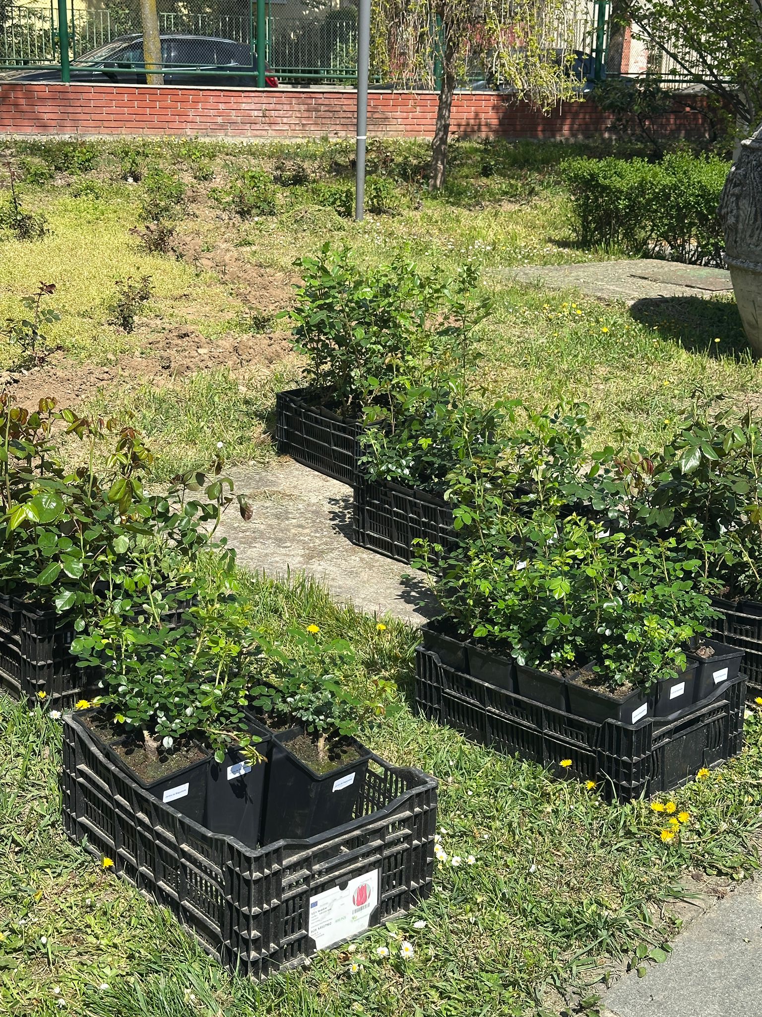 WhatsApp Image 2026-04-08 at 13.05.45 (4)