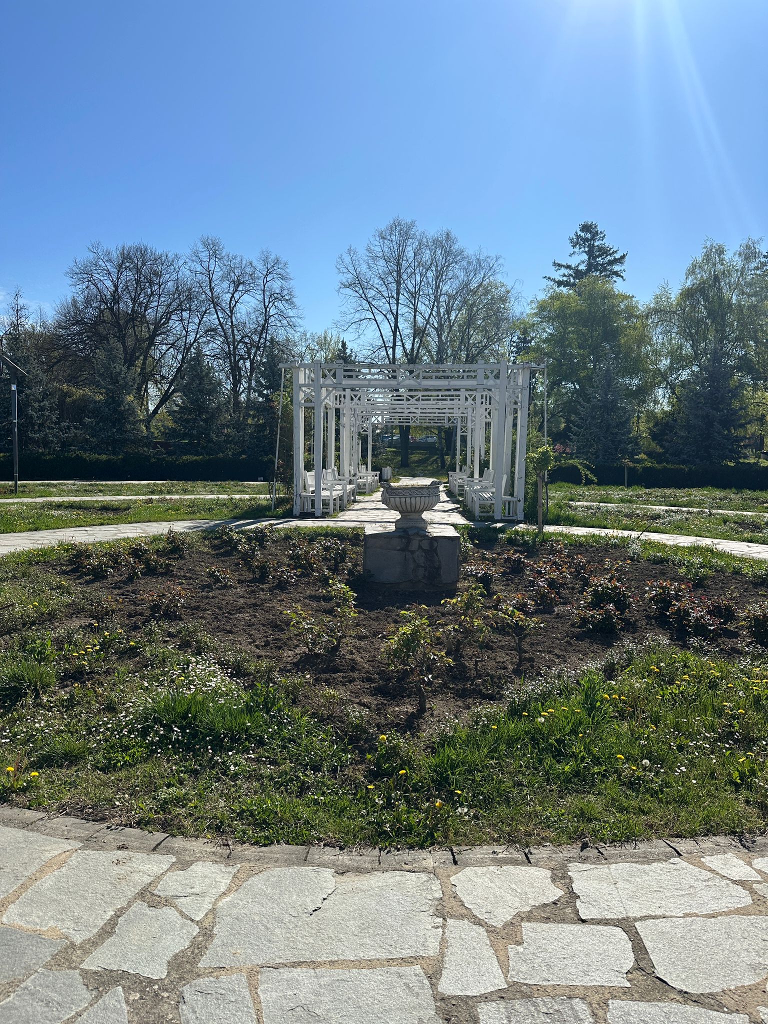 Parcul Rozelor Horticultura