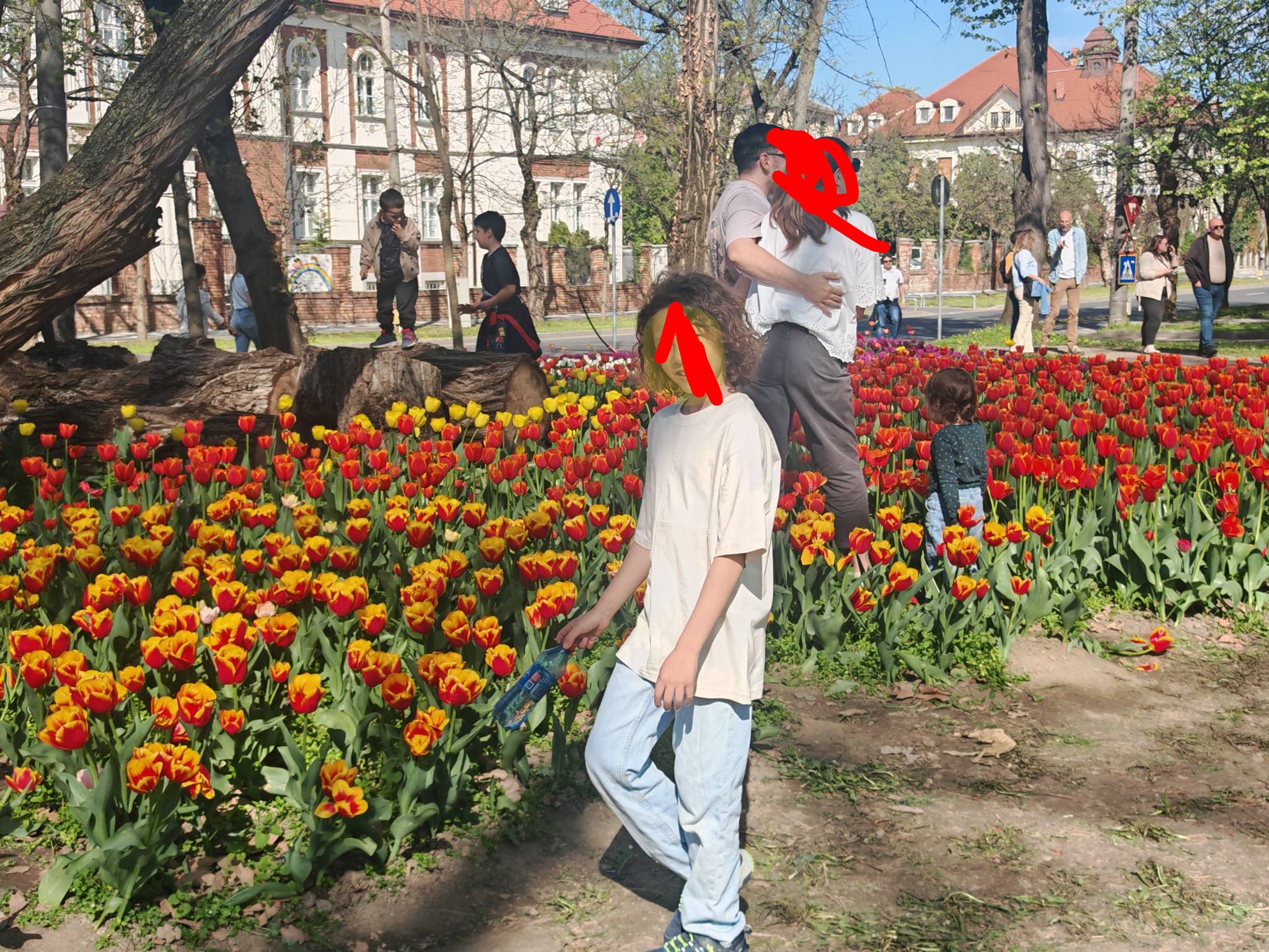 lalele distruse parcul justitiei (3)