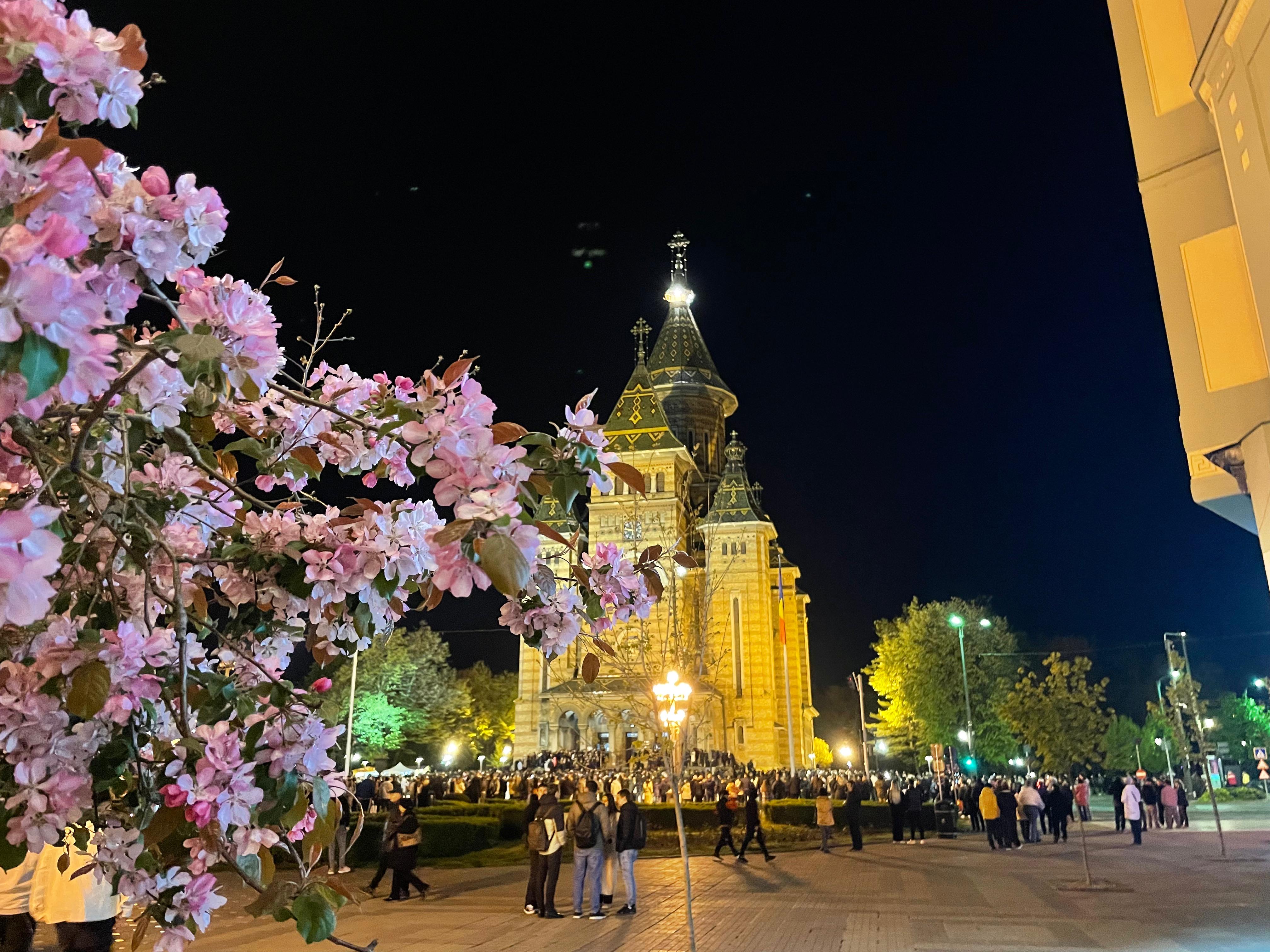 c39c7e5c-2d34-4db8-a5bc-95aef221f0c1