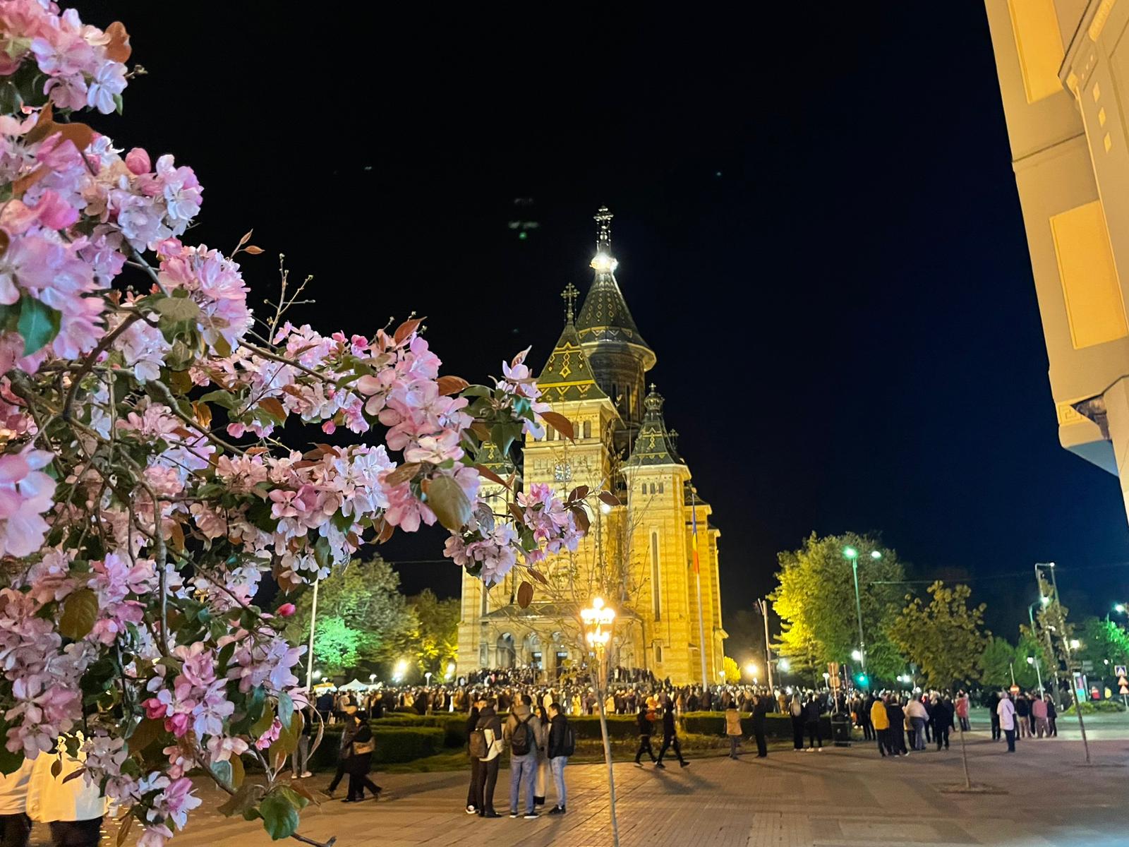 68c8eaf6-366a-4e96-ab1b-debbb5933d13