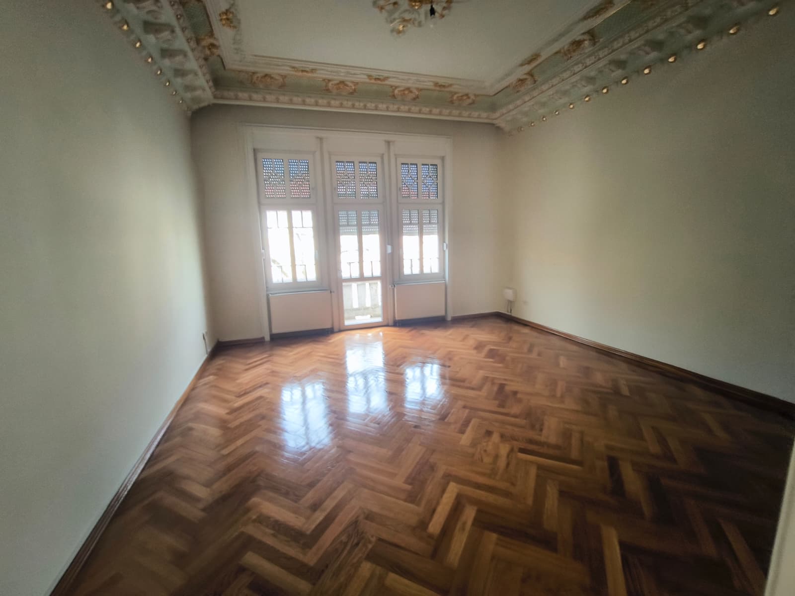 WhatsApp Image 2026-04-14 at 11.29.07