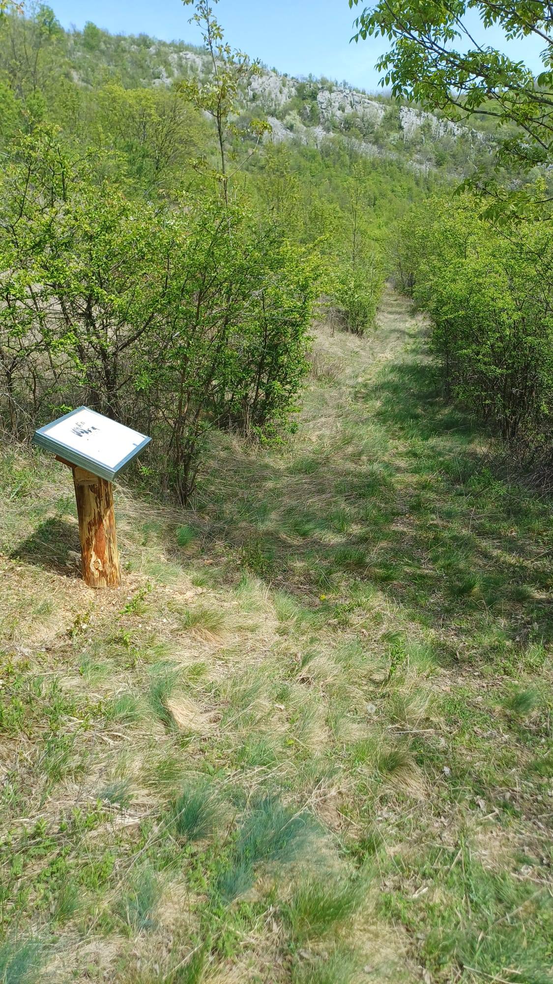 parcul national semenic cheile carasului (10)