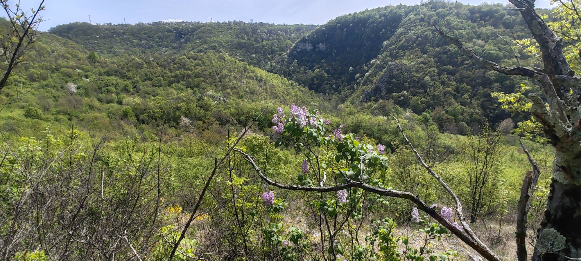 parcul national semenic cheile carasului (6)