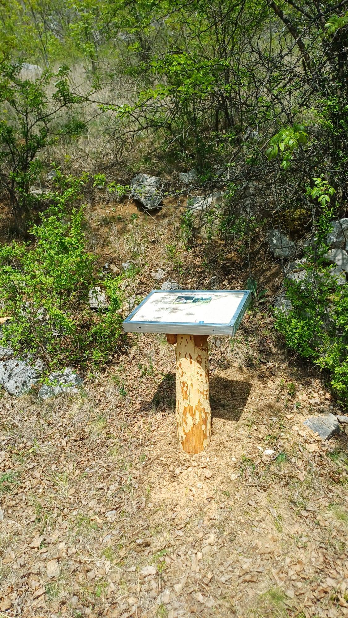 parcul national semenic cheile carasului (3)