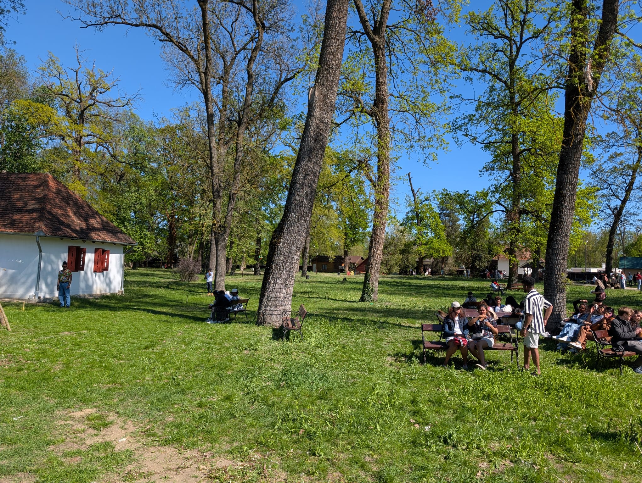 anul nou singalez muzeul satului (1)