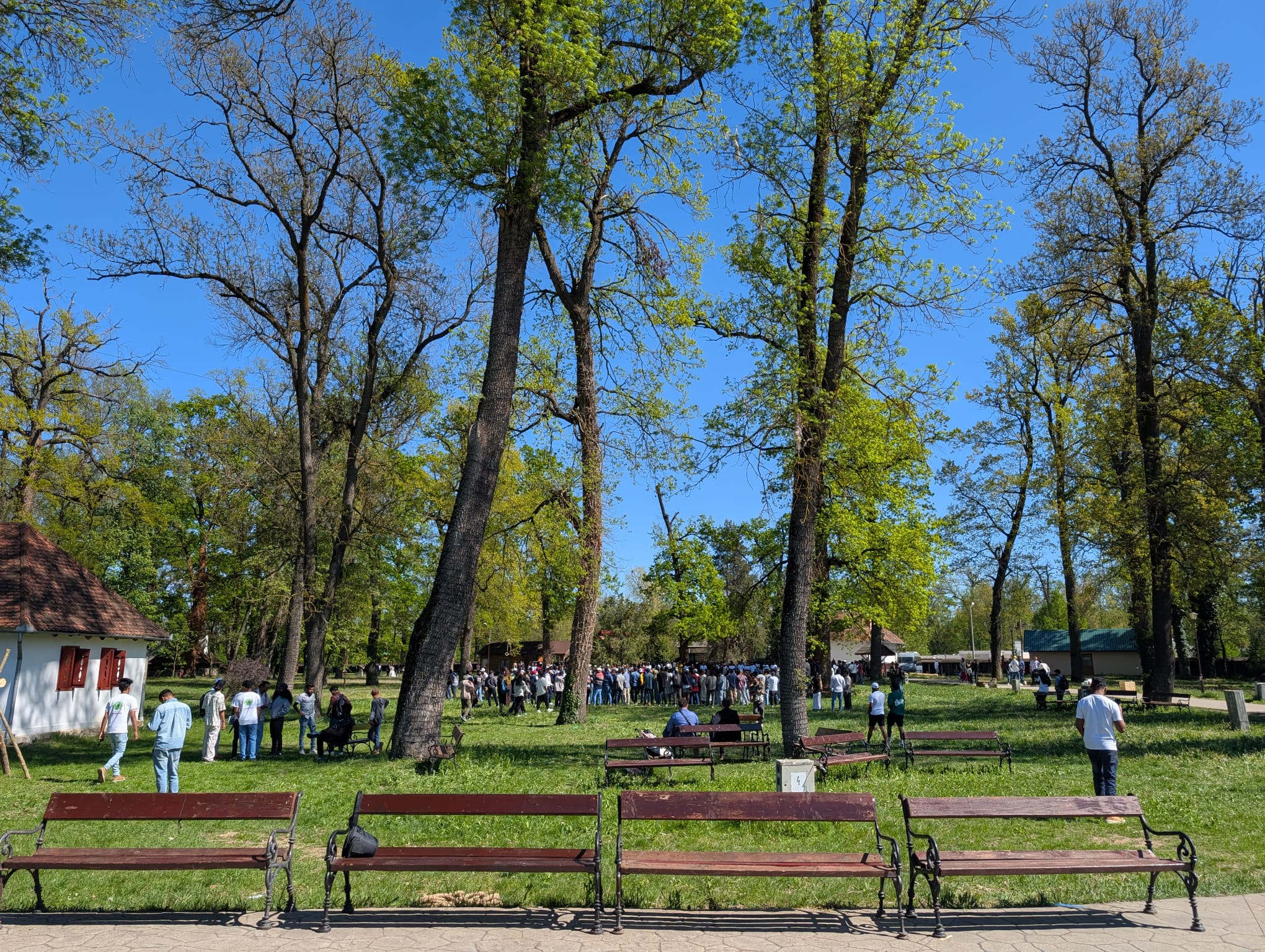 anul nou singalez muzeul satului (9)