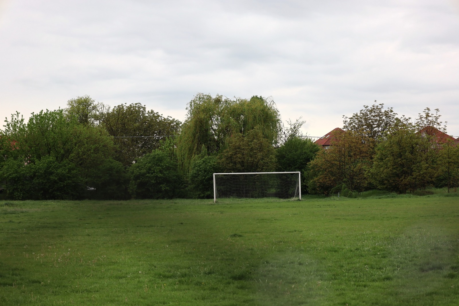 alergare copii ciarda rosie manusarul (2)