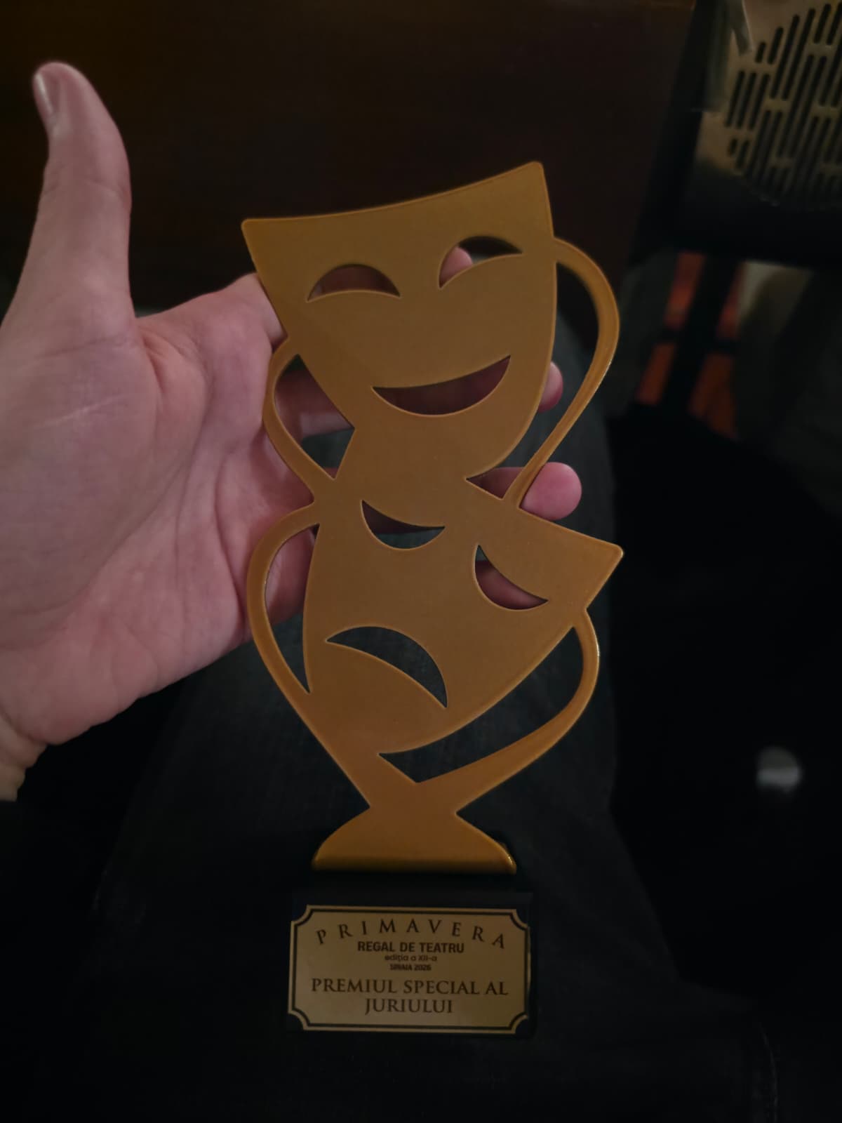 elevi ana aslan teatru (5)