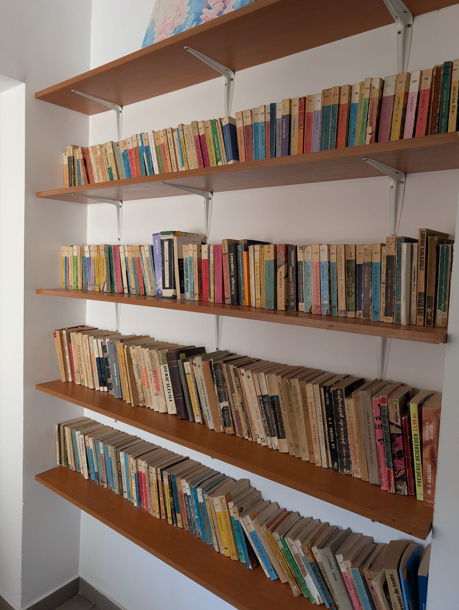 Centrul Sfantul Francisc (12)