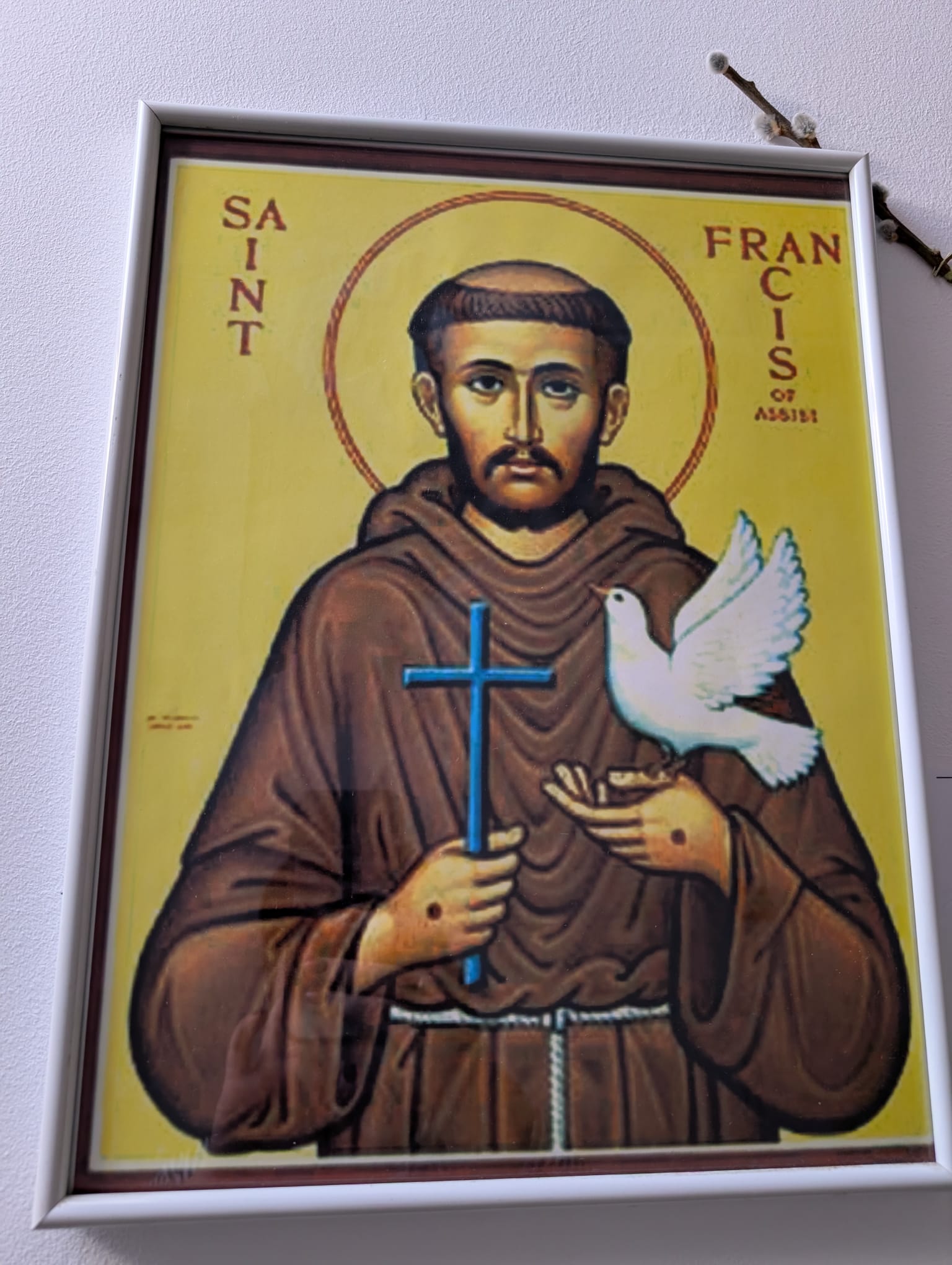 Centrul Sfantul Francisc (19)