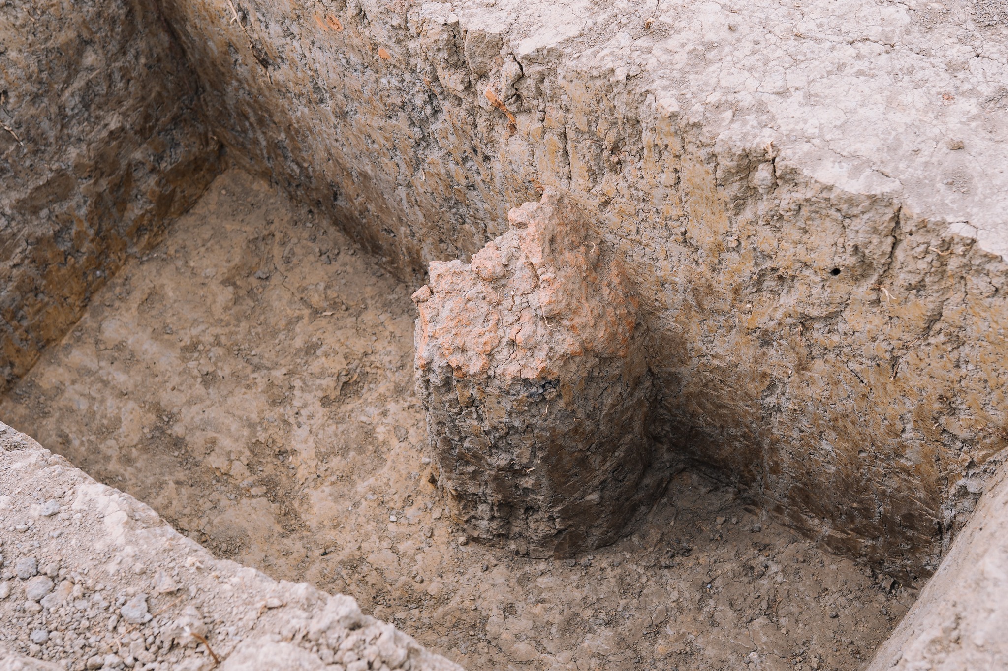 687035890_943250281791880_3425633981242916908_n