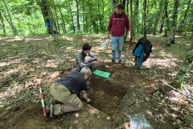 Poza pentru articolul FOTO. Artefacte recuperate dintr-un sit arheologic afectat de braconaj la Crivina–Leopoldsberg