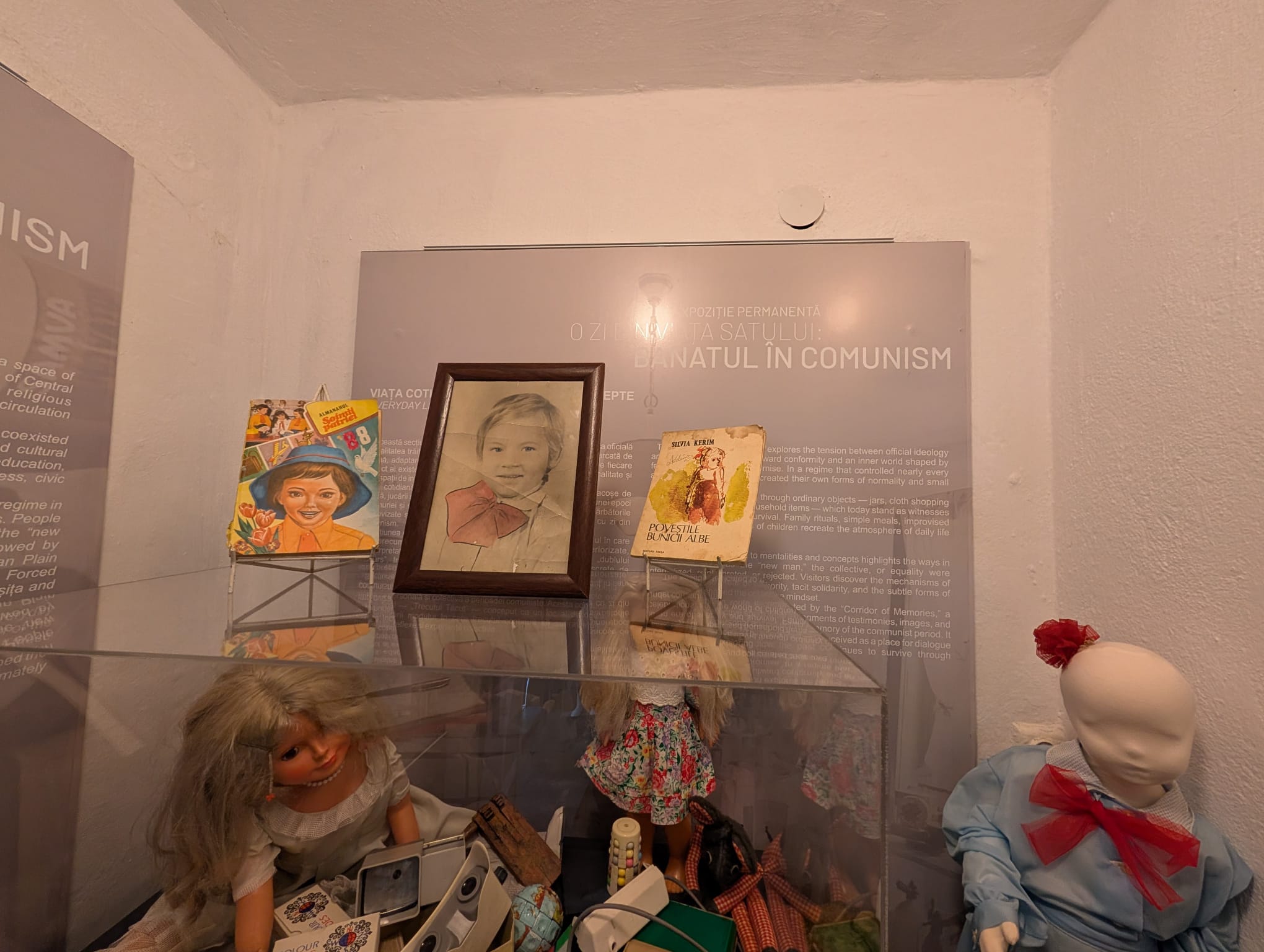 expo comunism casa comunista muzeul satului (18)