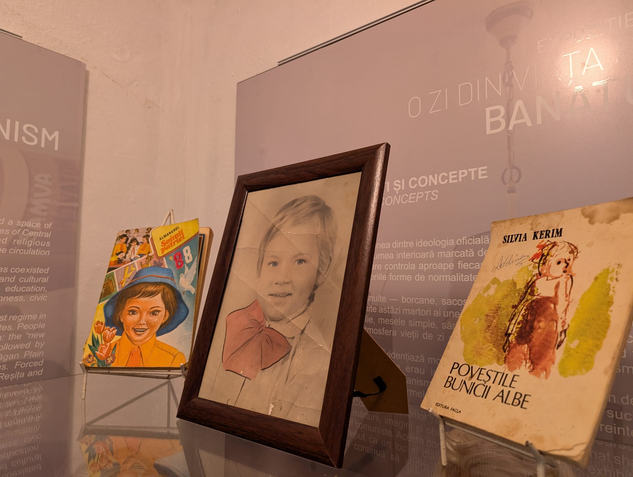 expo comunism casa comunista muzeul satului (35)