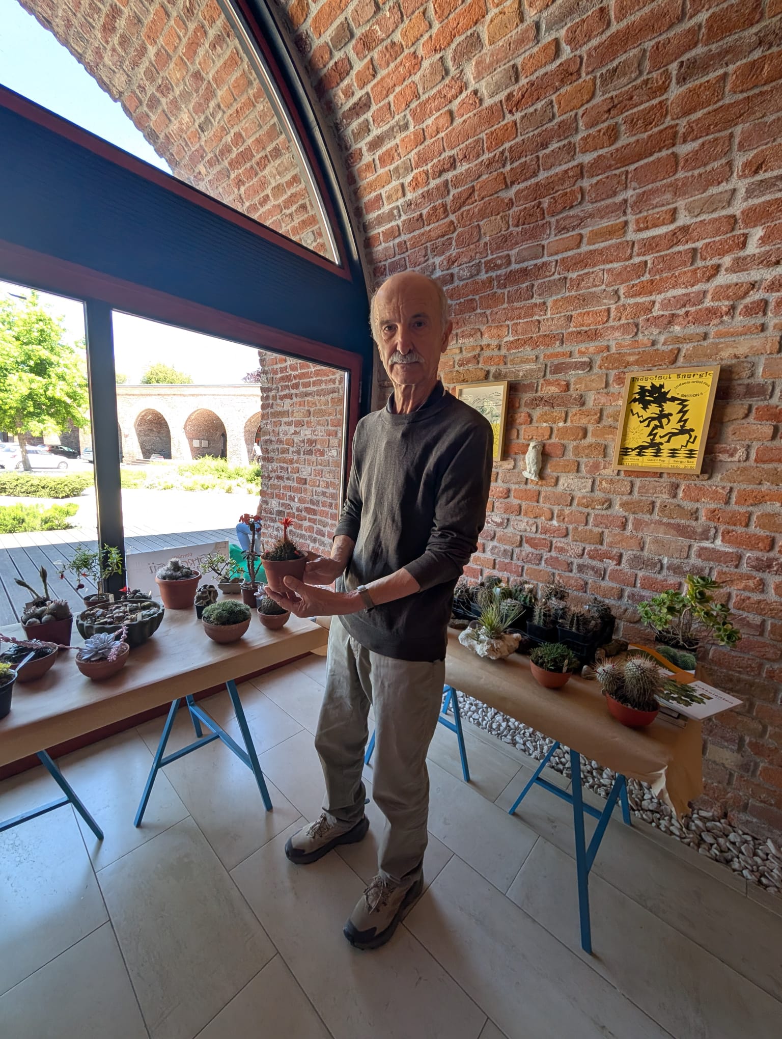 Melchior Lévai cactus