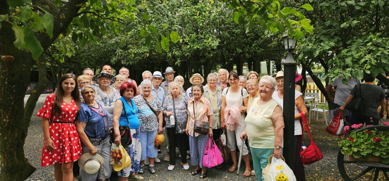 activitati centrul petntru varstnici (6)