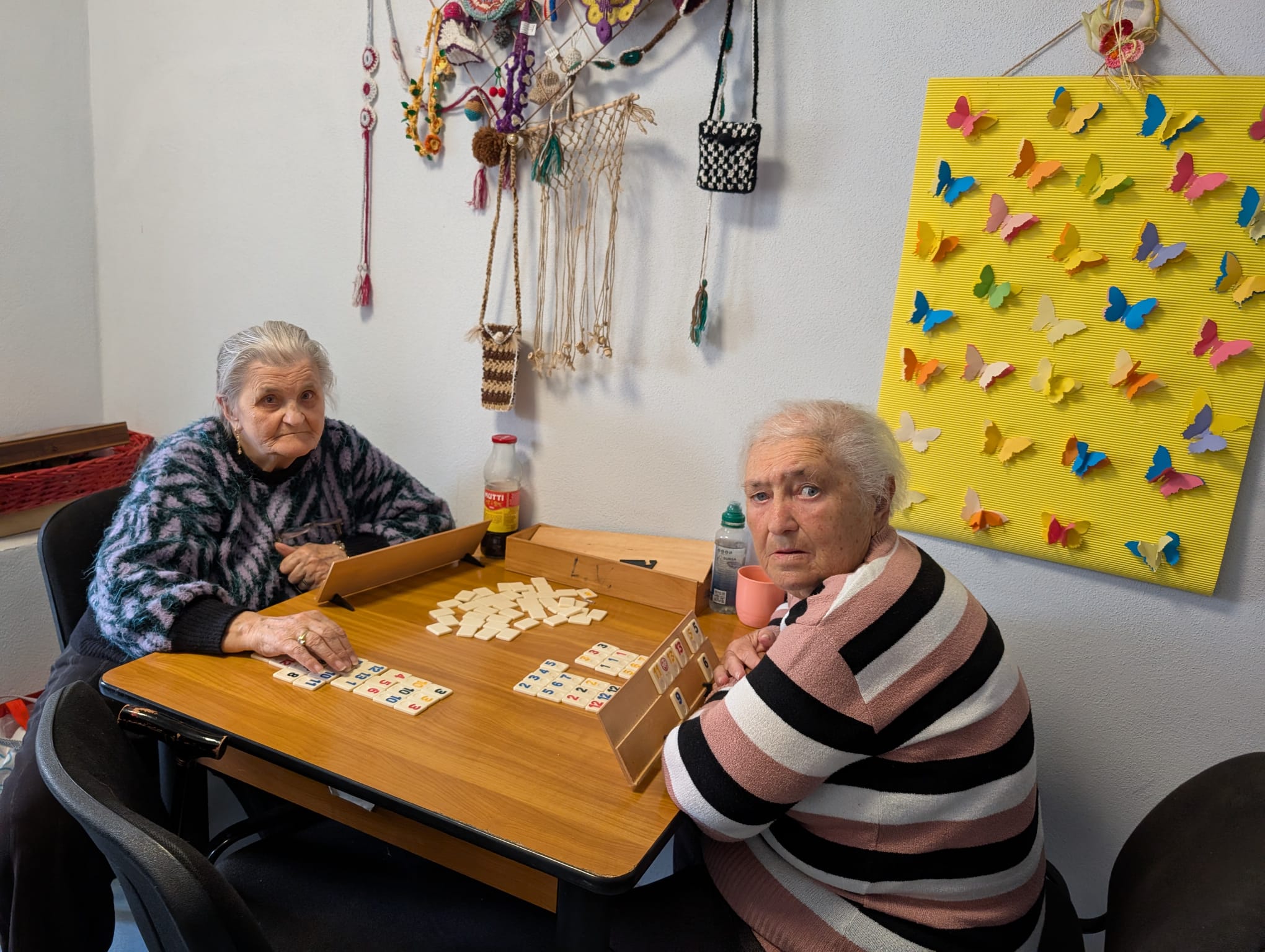 centrul de zi varstnici lipovei (2)