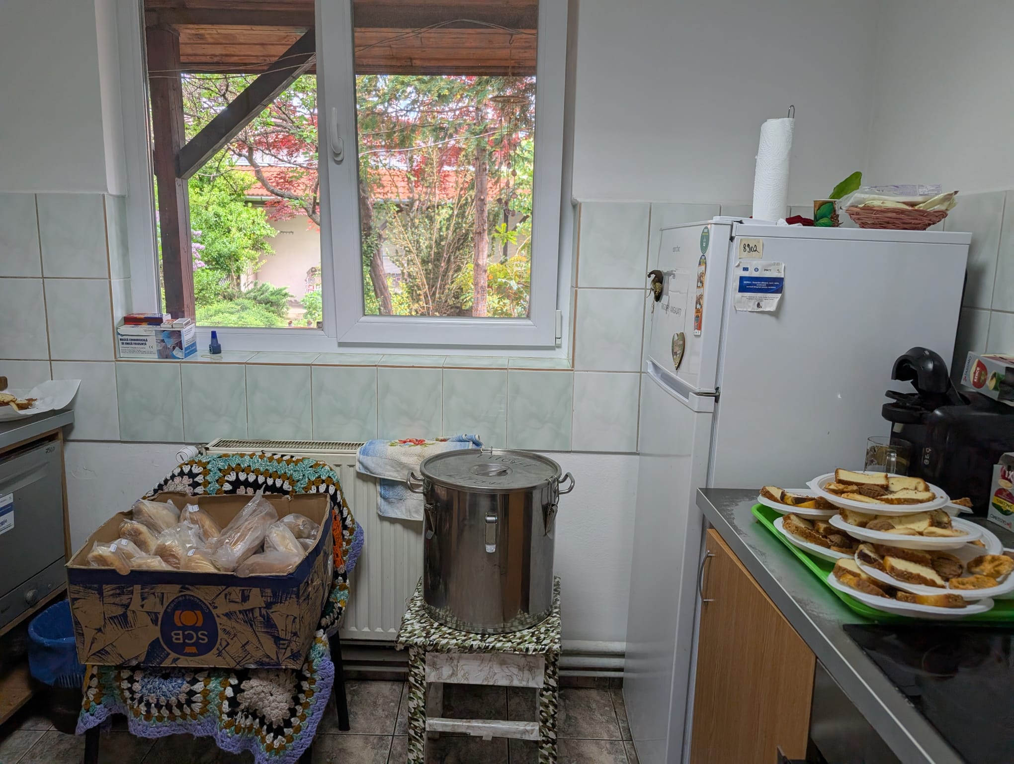 centrul de zi varstnici lipovei (18)