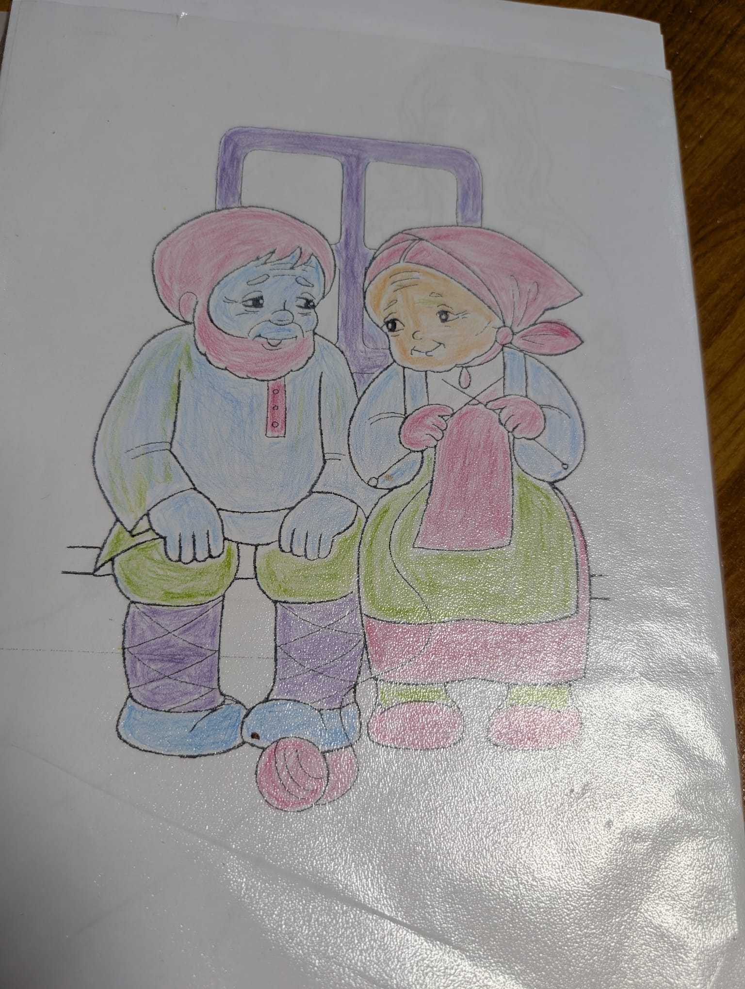 centrul de zi varstnici lipovei (24)