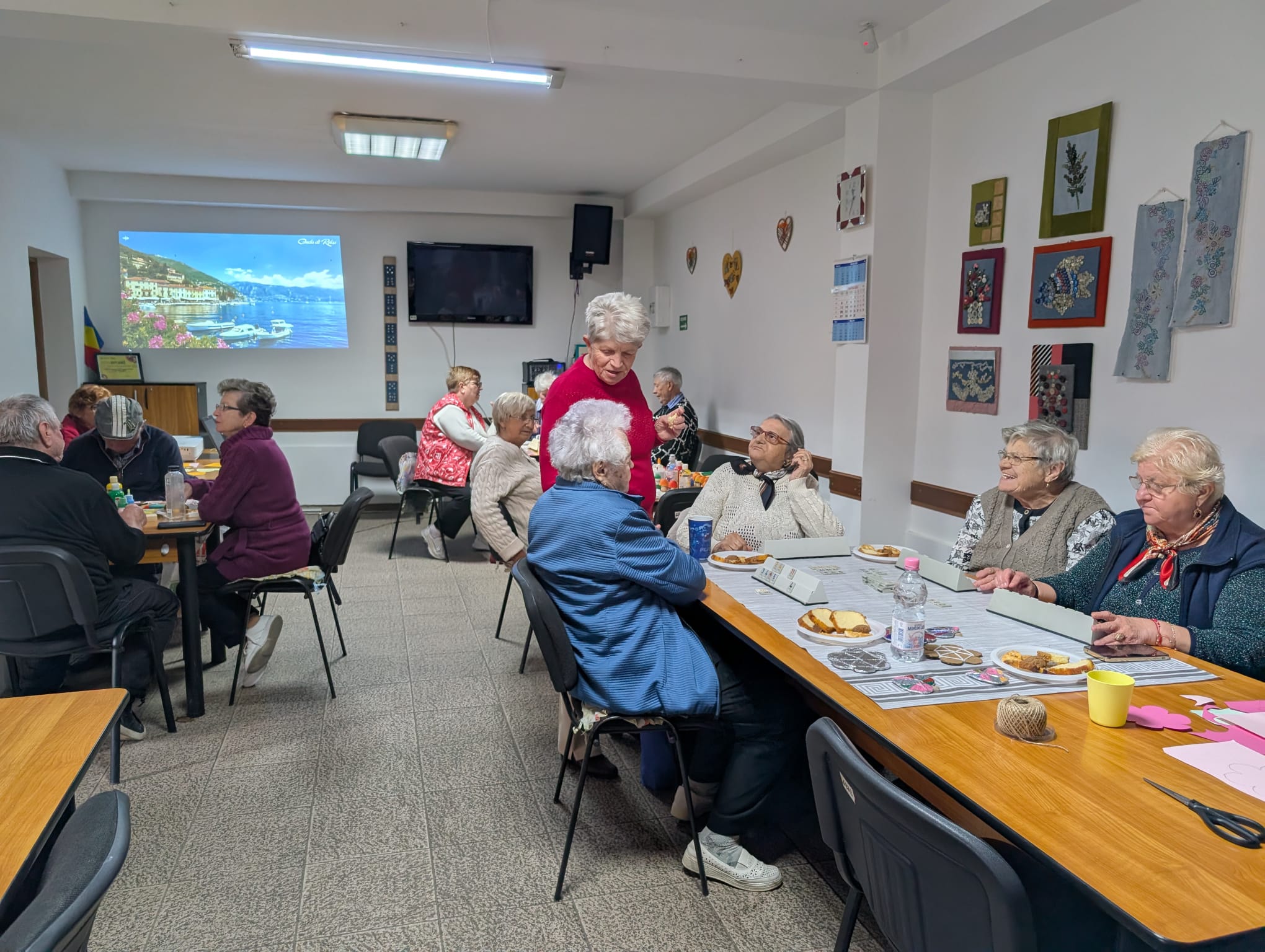 centrul de zi varstnici lipovei (53)