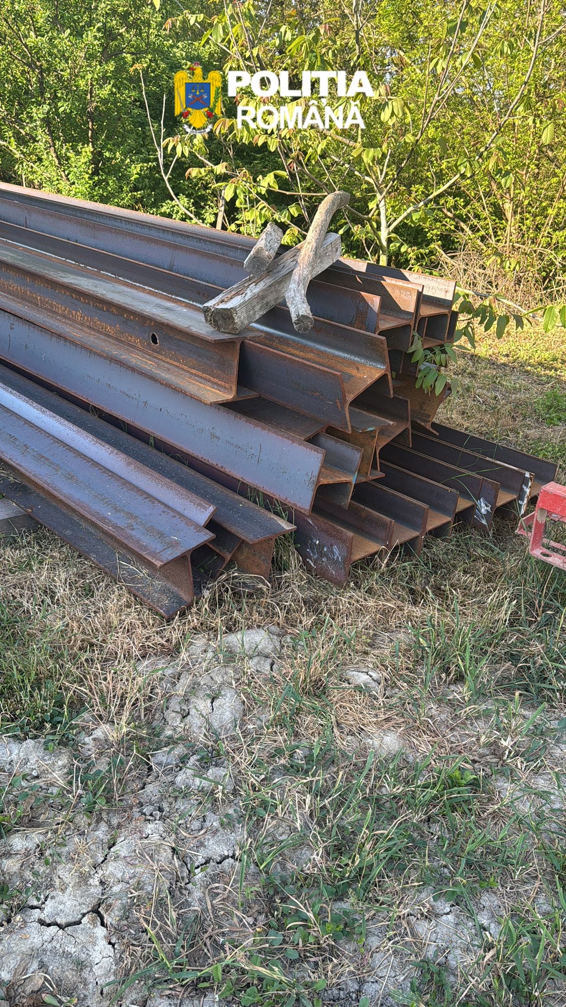 perchezitii lugoj (7)
