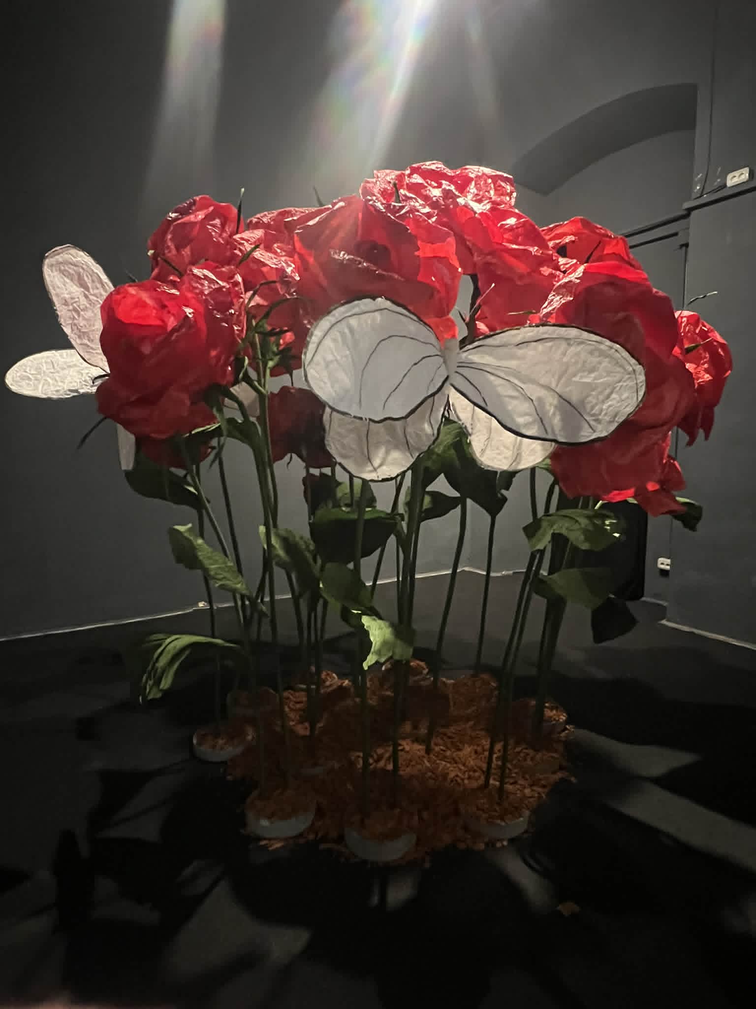 Interdesign 2026 Garnizoana (28)