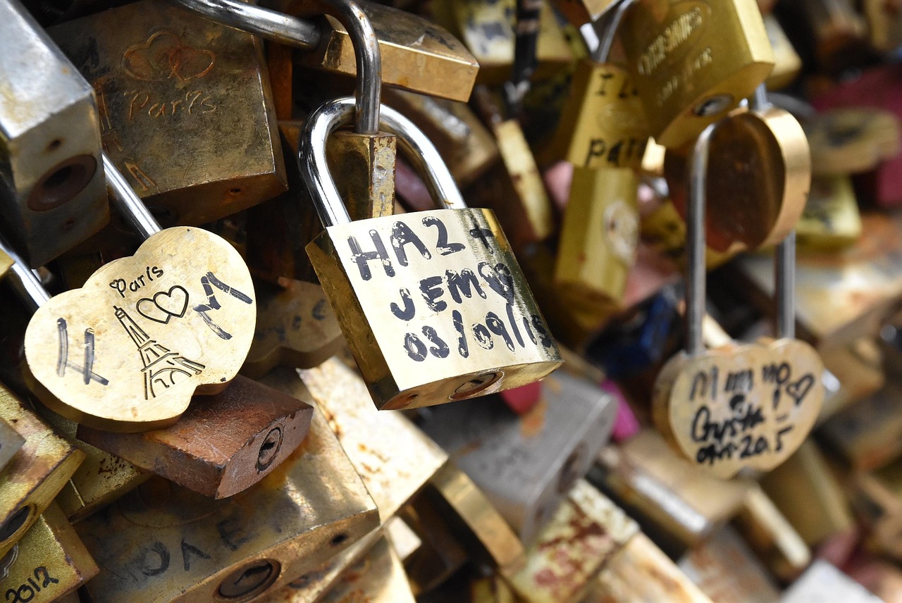 Paris (15)