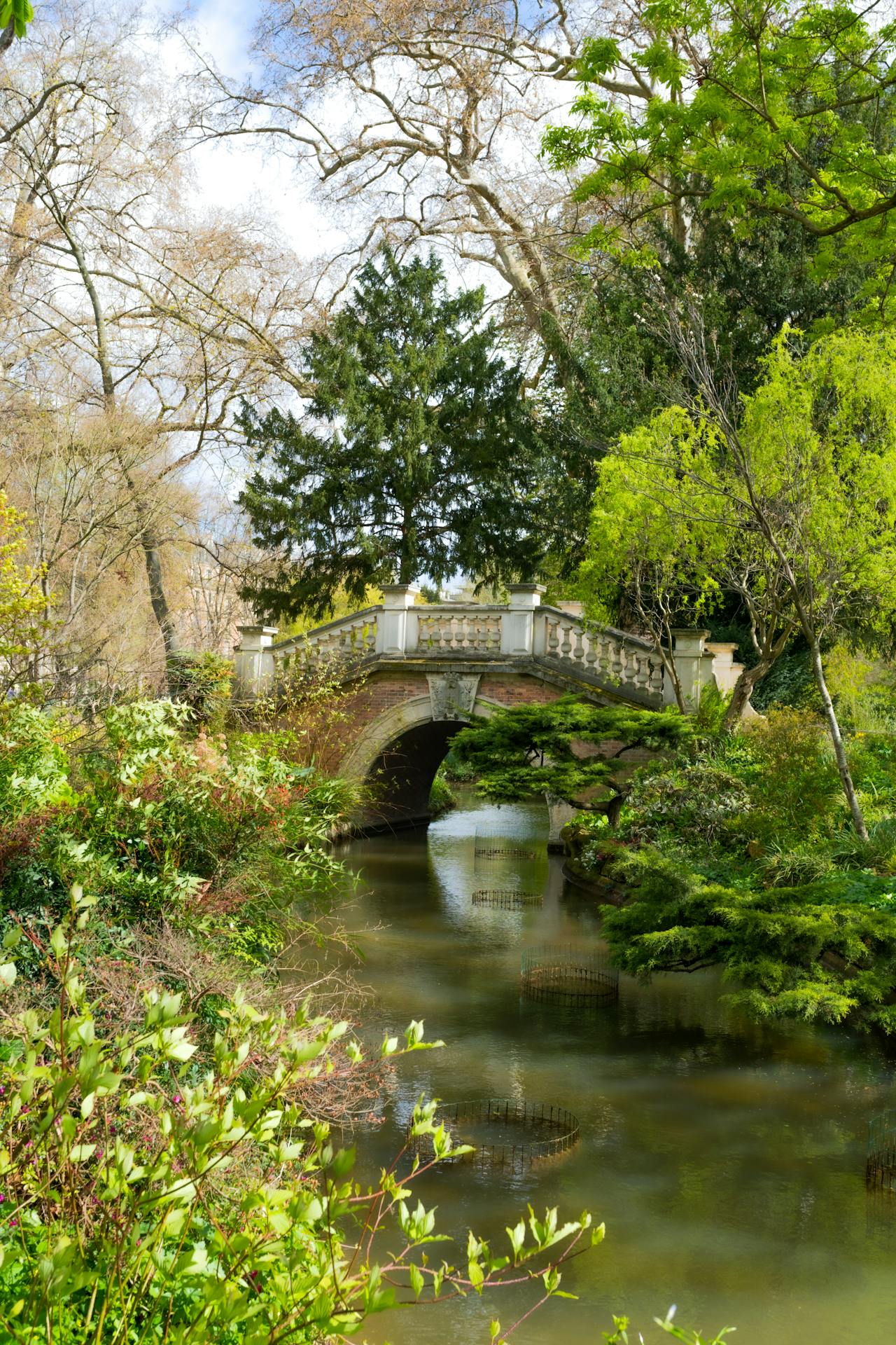 Paris (11)