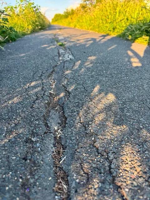 Pista de biciclete Timișoara-Serbia, afectată de degradări (2)