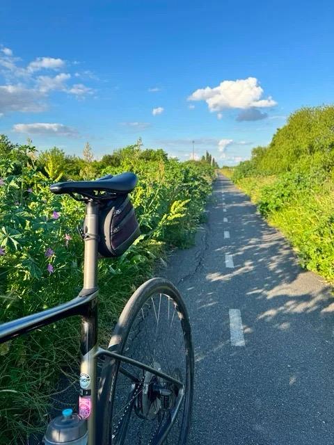 Pista de biciclete Timișoara-Serbia, afectată de degradări (4)
