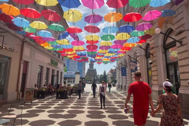 Poza pentru articolul Ce facem astăzi, 24 iunie 2026, în Timișoara?