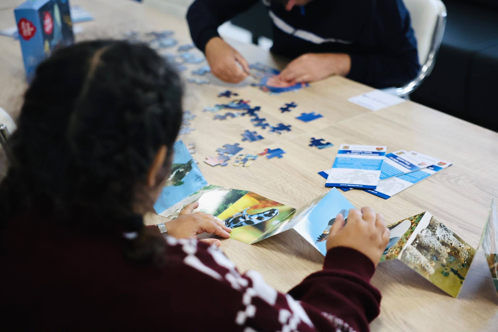 centru dizabilitati Lugoj (4)