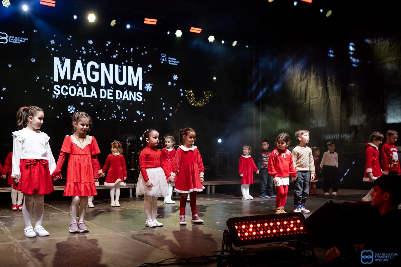 Diana si Raul Avram (2)
