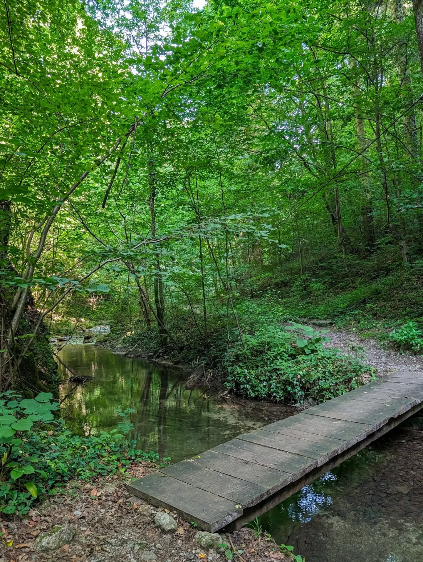 Cascada Cheile Susarei (7)