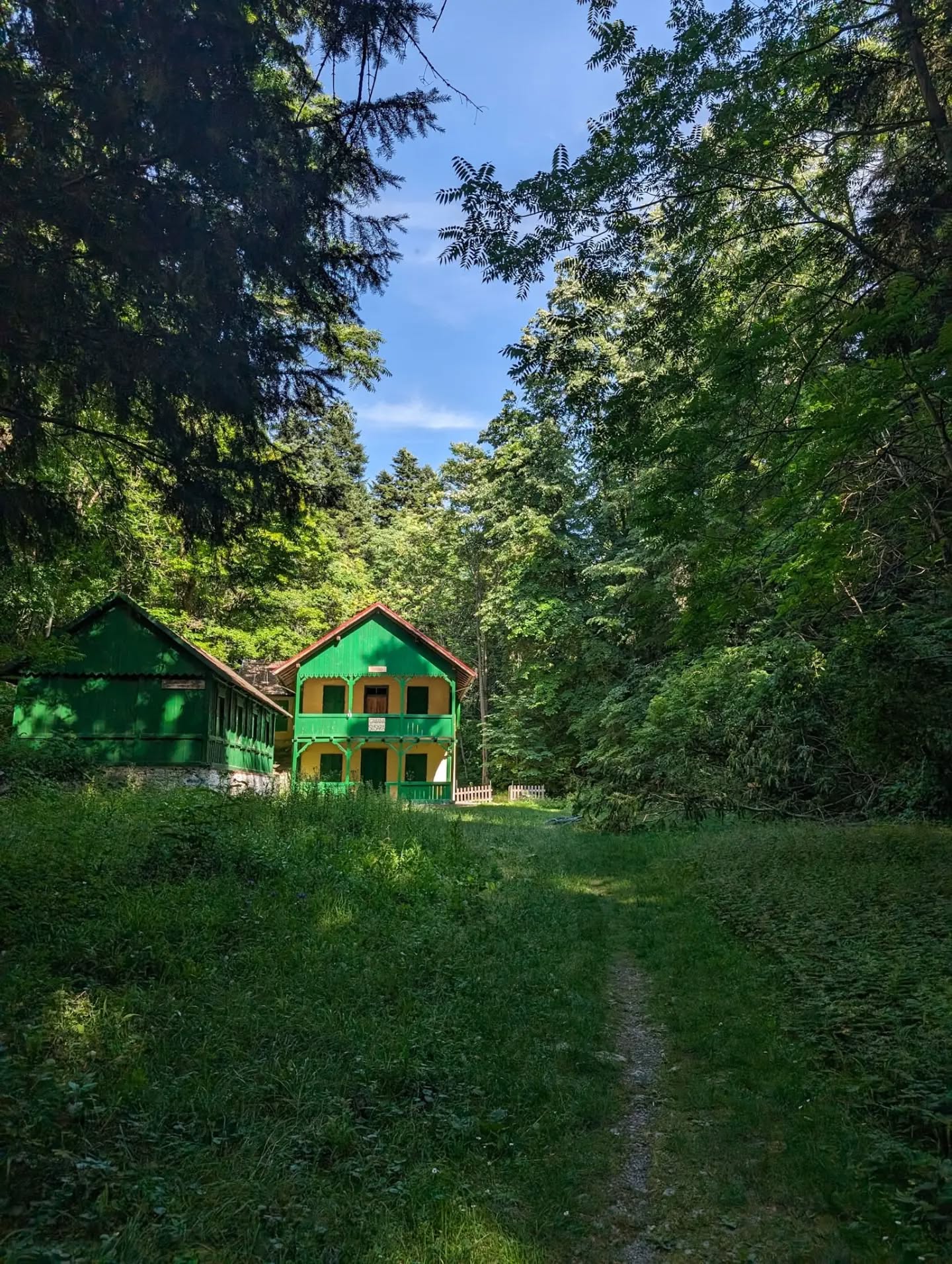 Cascada Cheile Susarei (8)