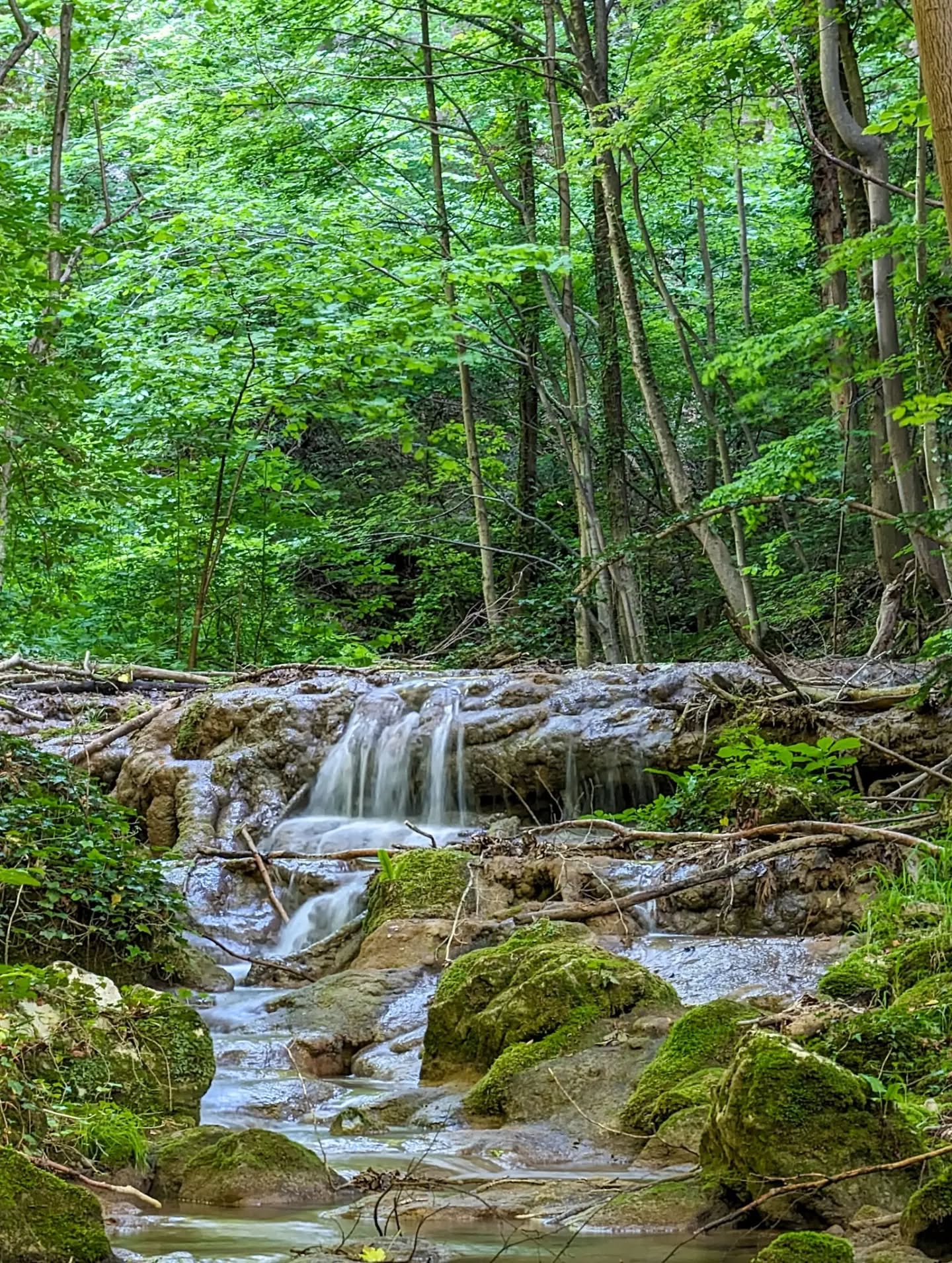 Cascada Cheile Susarei (10)