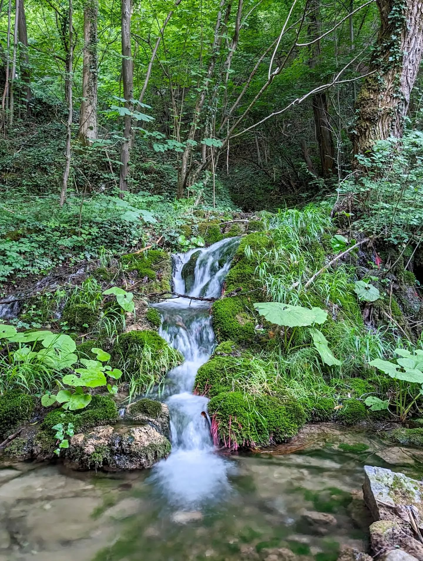 Cascada Cheile Susarei (11)