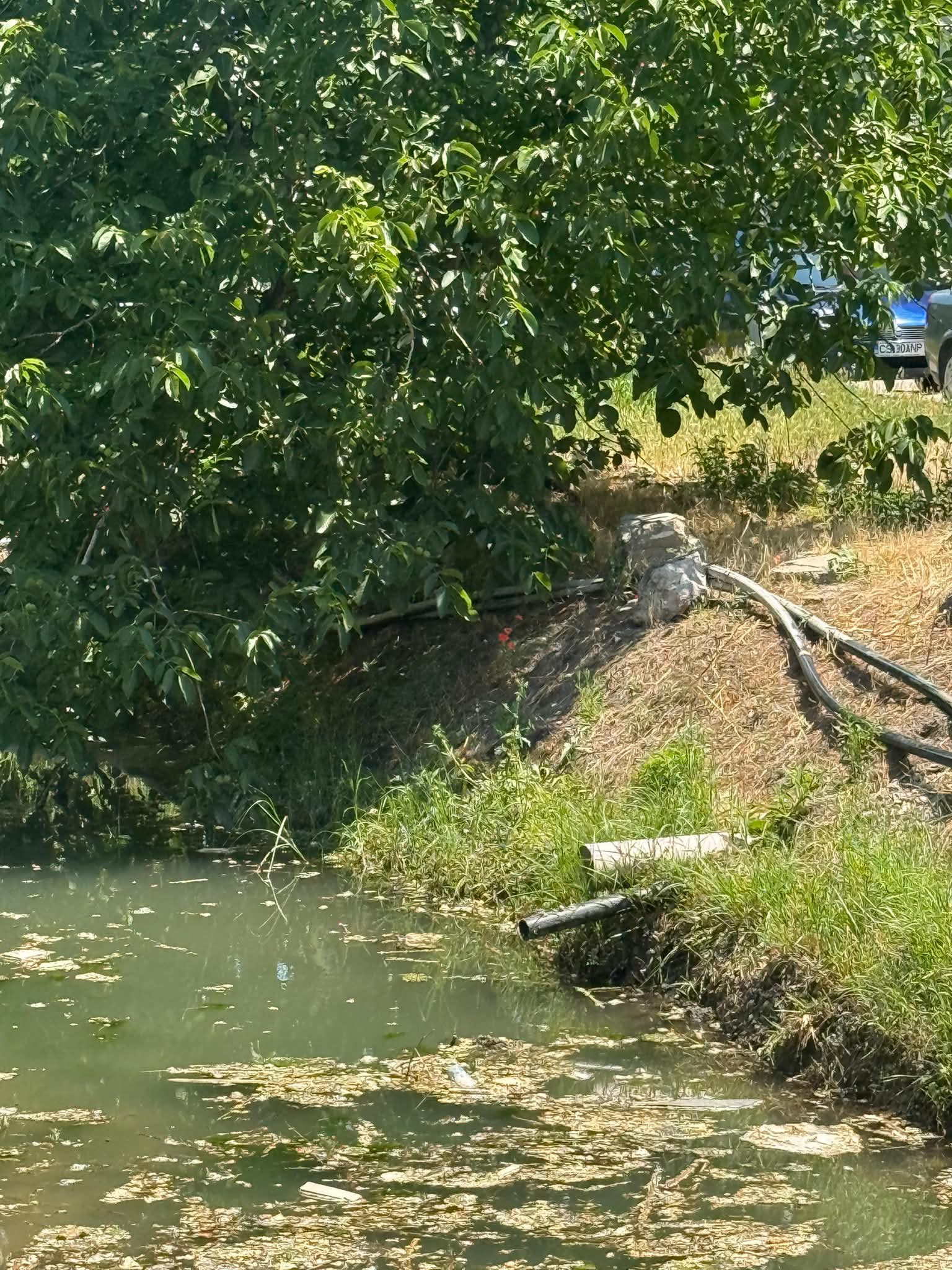 apa evacuata canal anif (2)