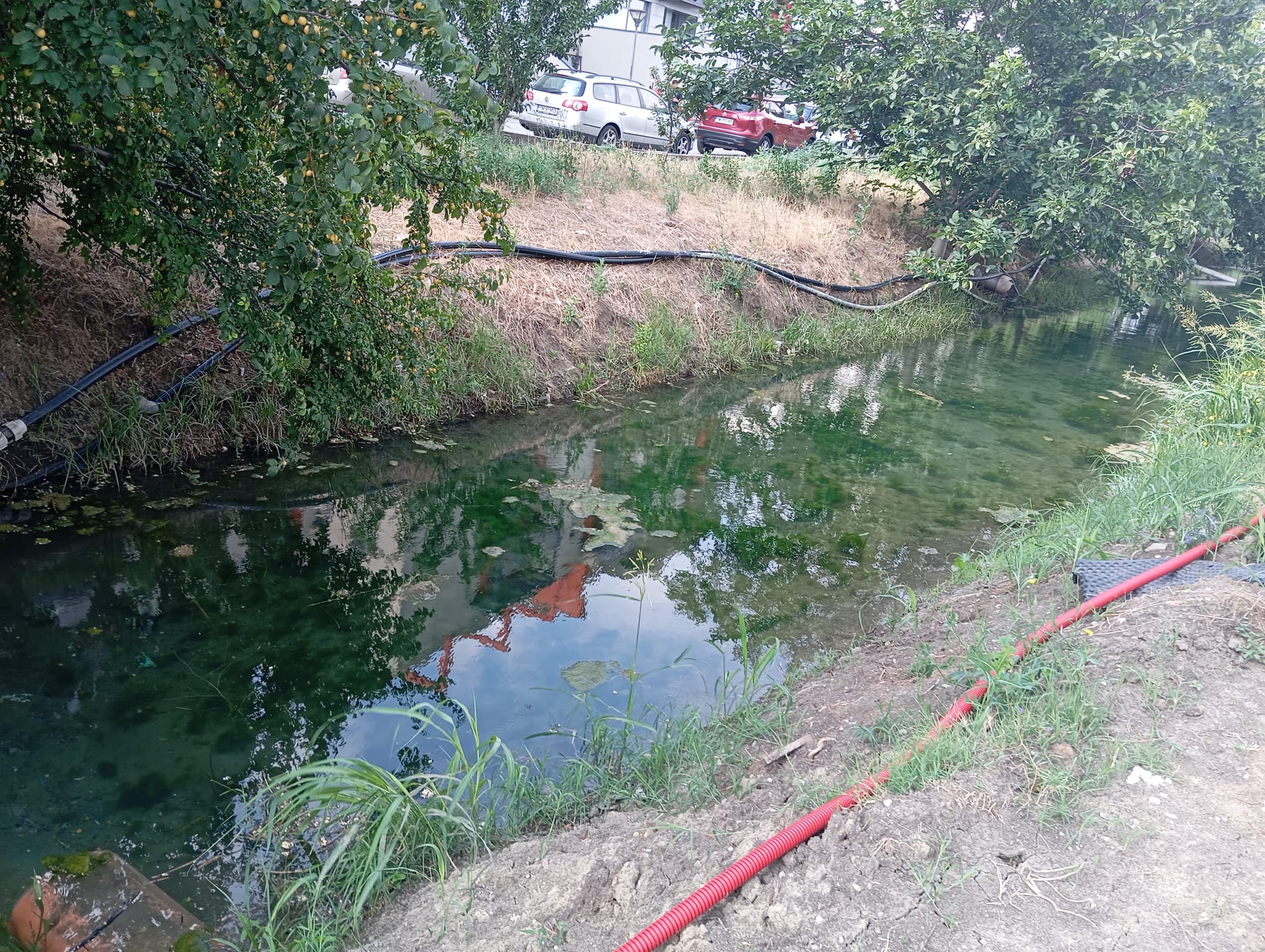 canal anif curatat de gunoi (2)