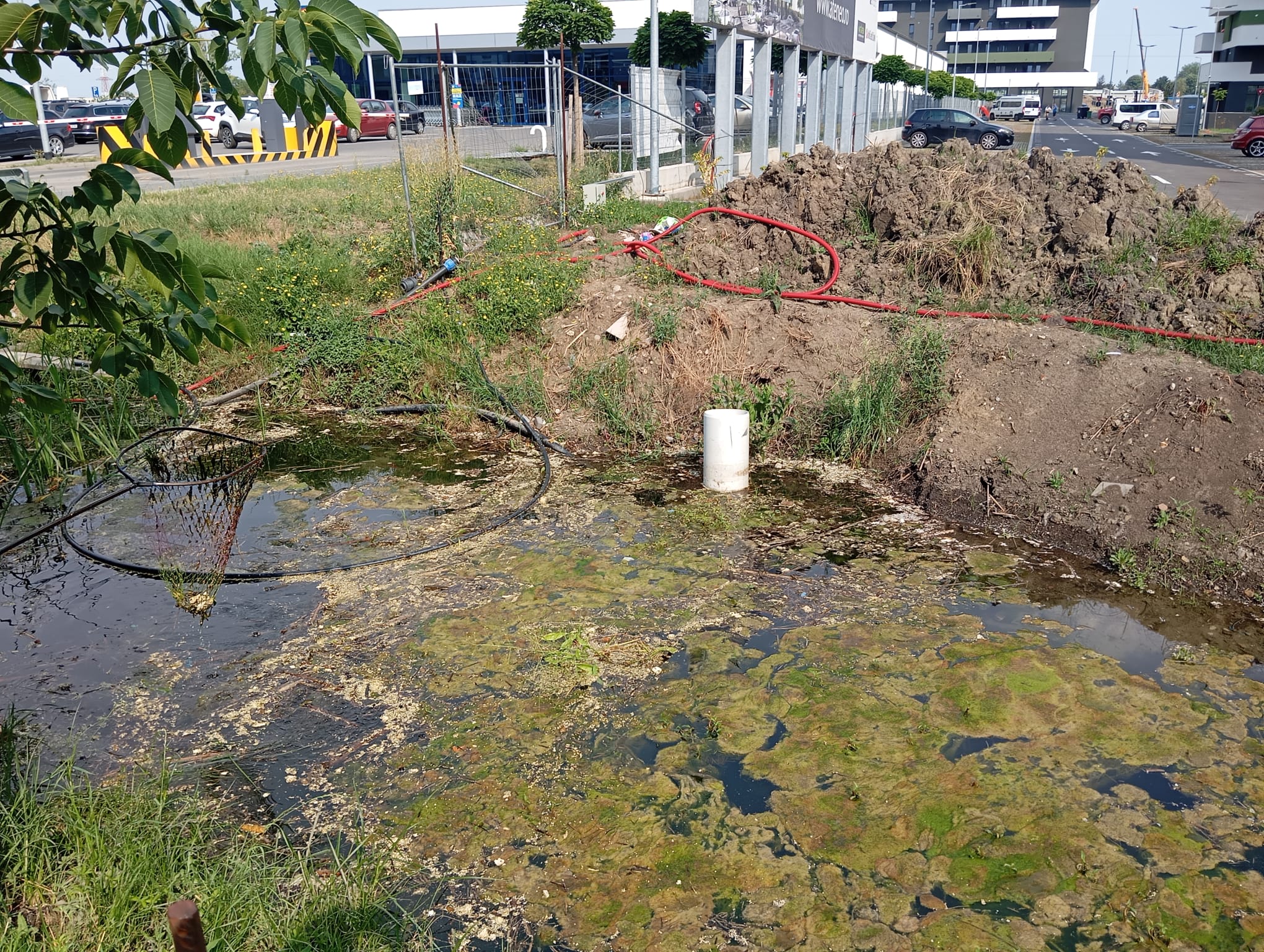 canal anif curatat de gunoi (5)