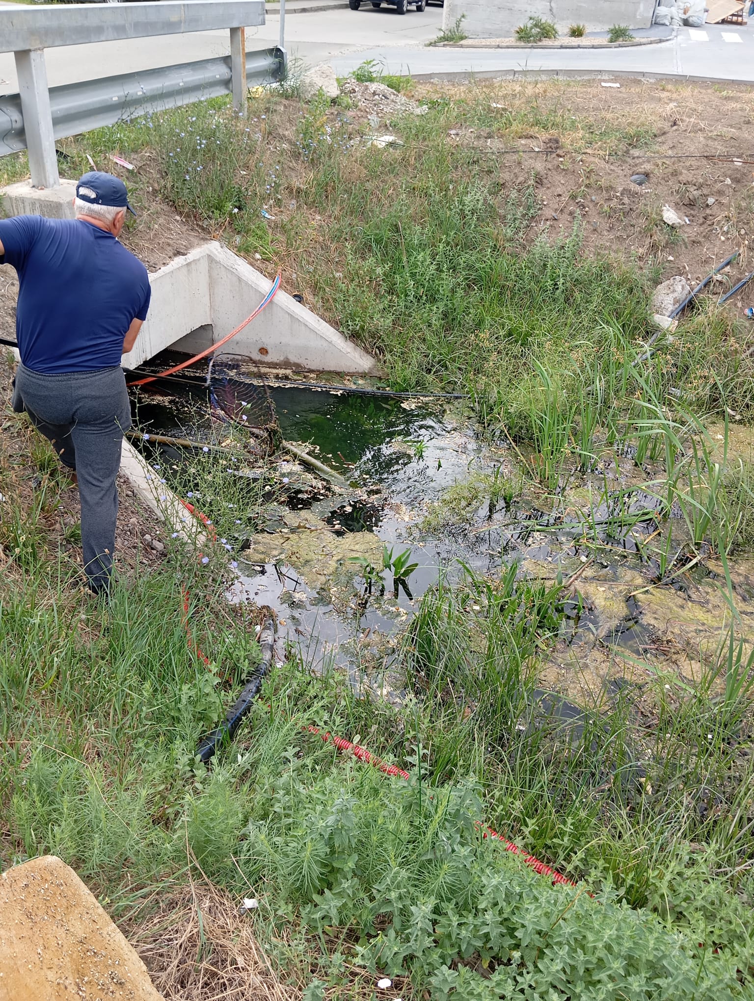 canal anif curatat de gunoi (14)