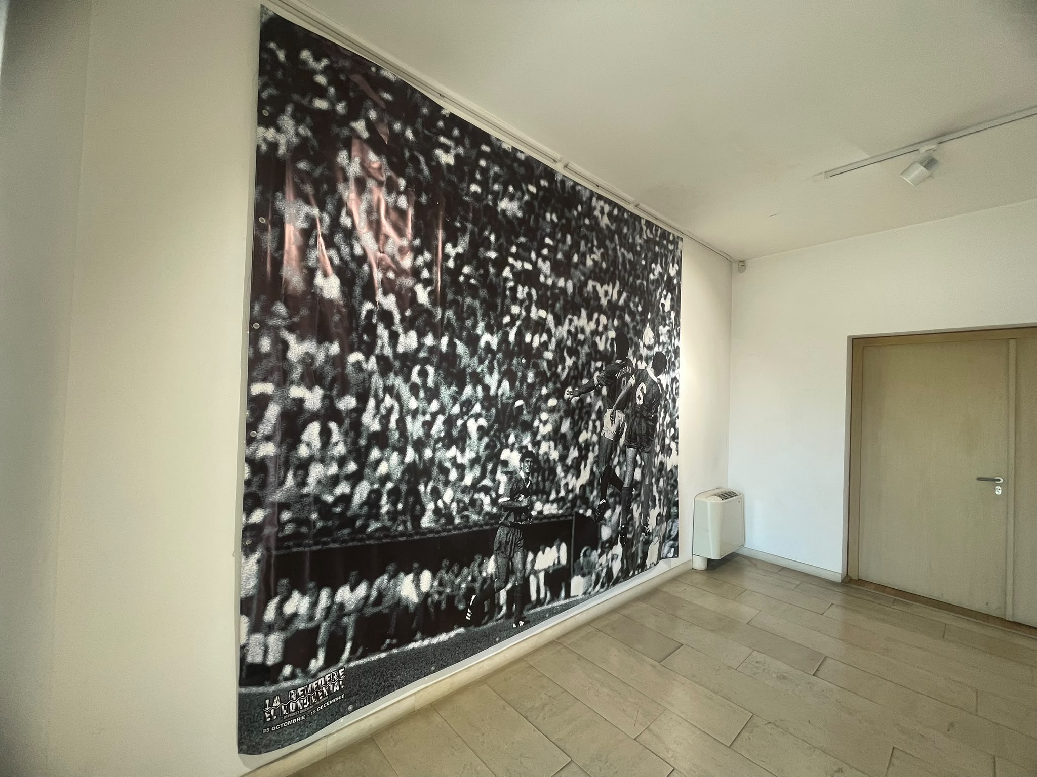 expo poli (4)
