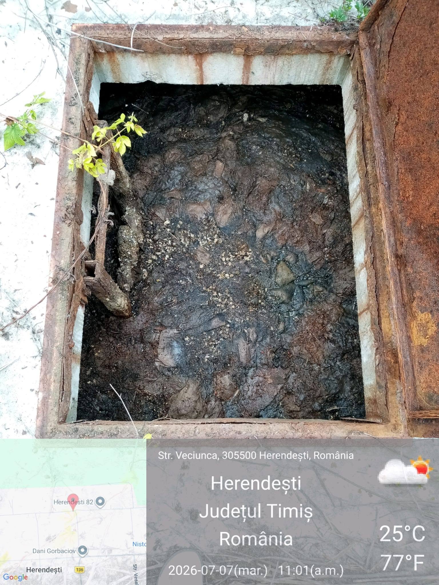 Ape uzate deversate în canale deschise în două localități din Timiș. Garda de Mediu a sancționat primăria