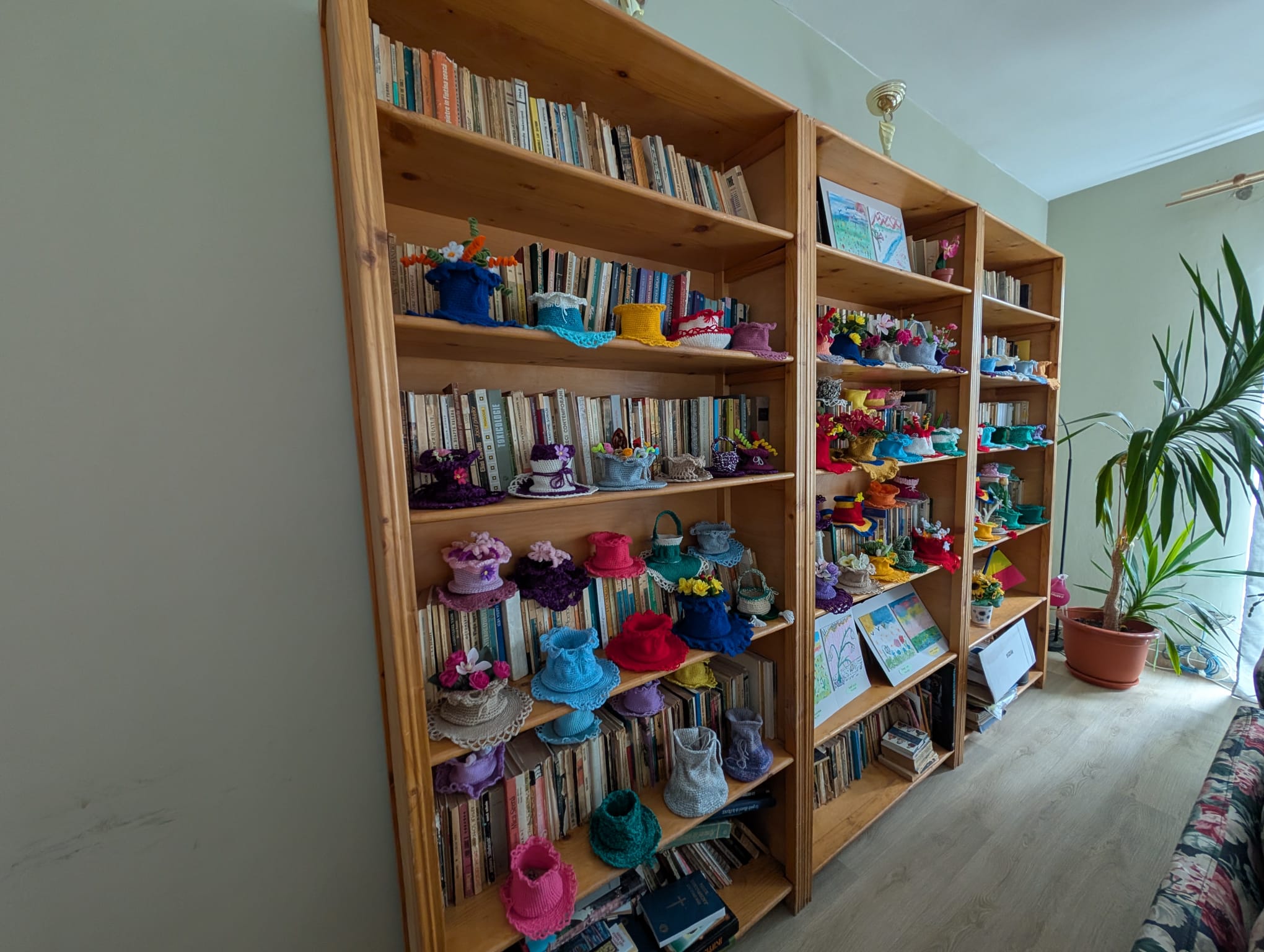 Căminul de vârstnici de pe inocențiu klein
