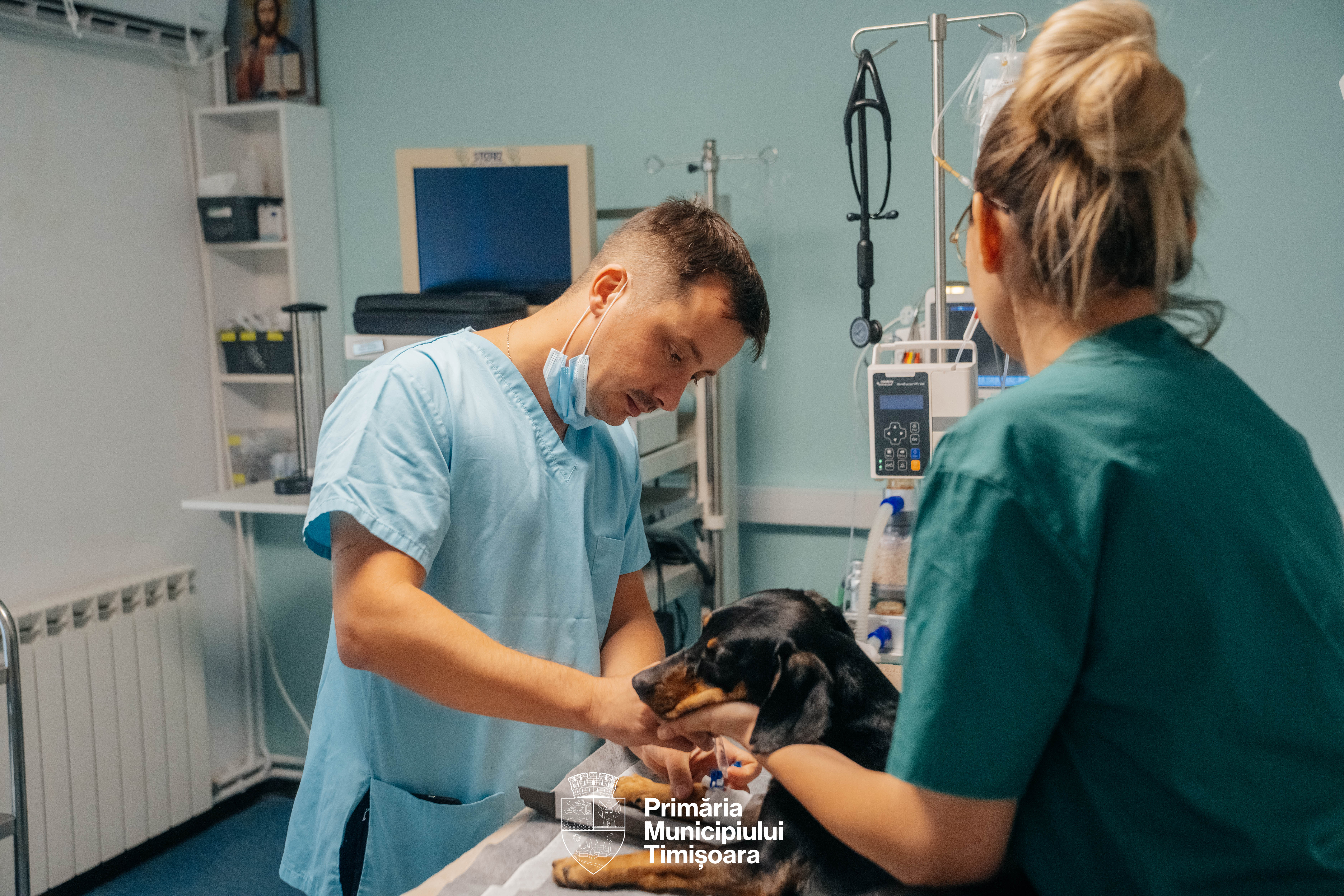 DSC02668