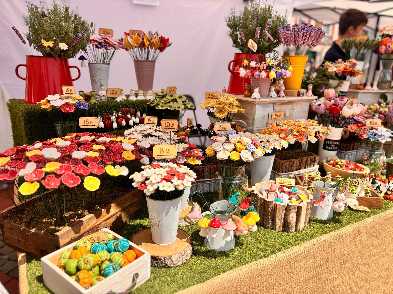lavanda fest 2026 (4)