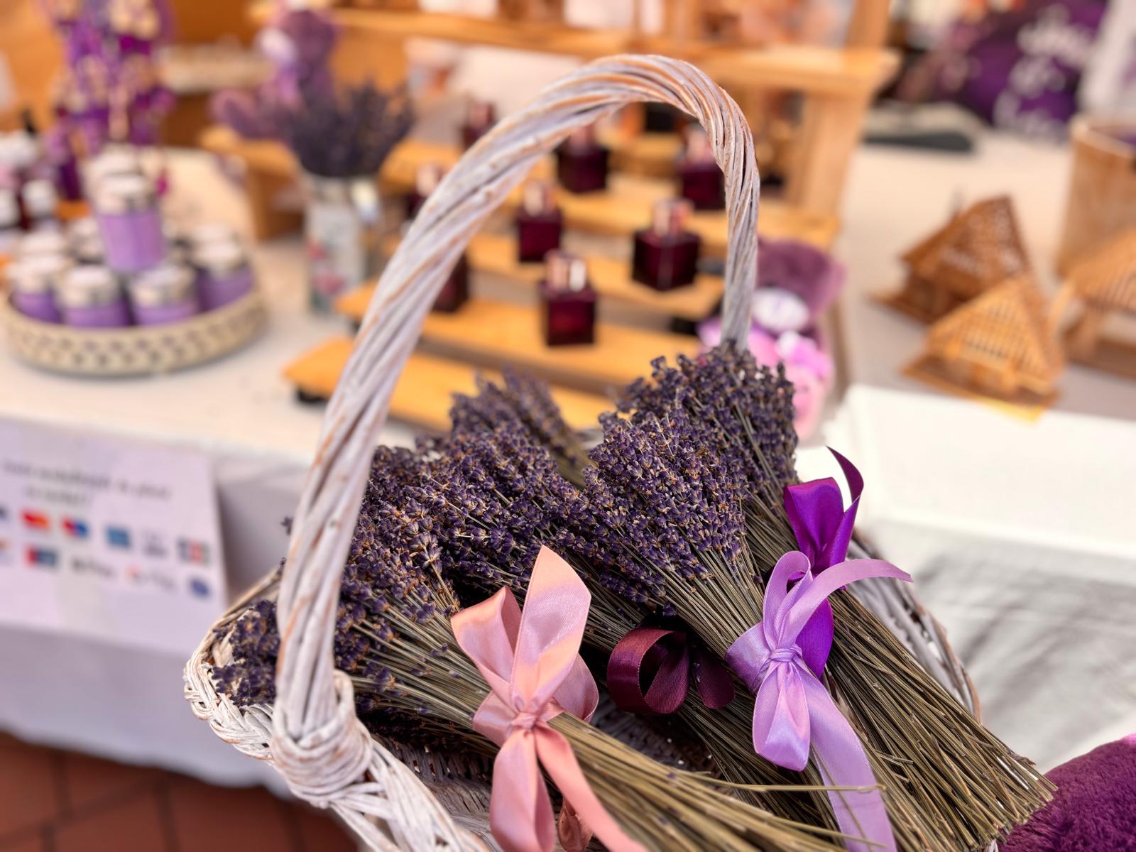 lavanda fest 2026 (29)