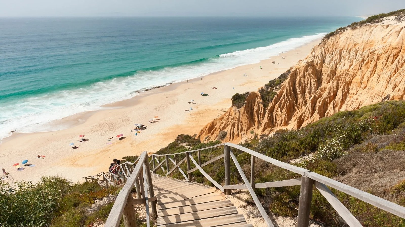 comporta